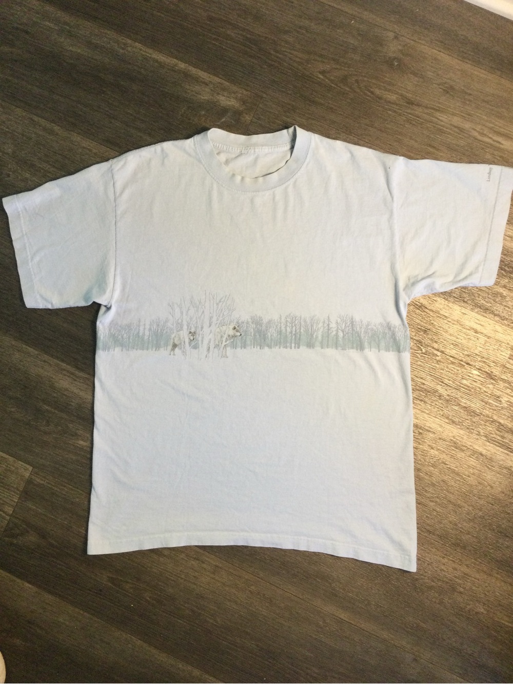 Light Blue Graphic T-Shirt with Subtle Winter Scene